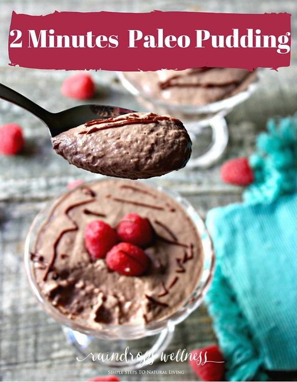 2 Minutes Paleo Pudding Recipe